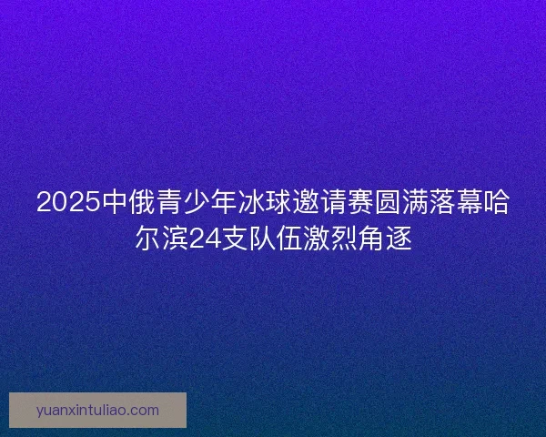 2025中俄青少年冰球邀请赛圆满落幕哈尔滨24支队伍激烈角逐