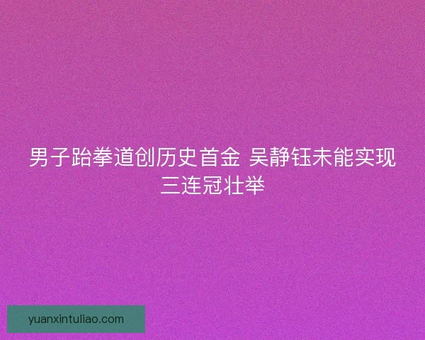 男子跆拳道创历史首金 吴静钰未能实现三连冠壮举