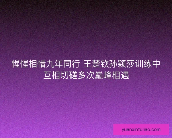 惺惺相惜九年同行 王楚钦孙颖莎训练中互相切磋多次巅峰相遇
